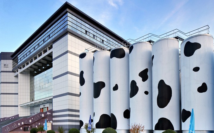 從單一申請到復(fù)合業(yè)務(wù)委托，三聚陽光贏得蒙牛好評