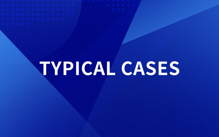 Technology services - Selected Cases of Government Services